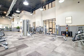 Weights & Multi-Circuit Training